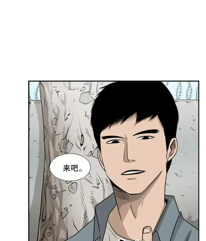 《鲨鱼》28.确定图84