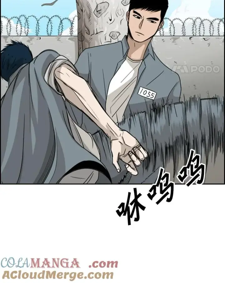 《鲨鱼》28.确定图97