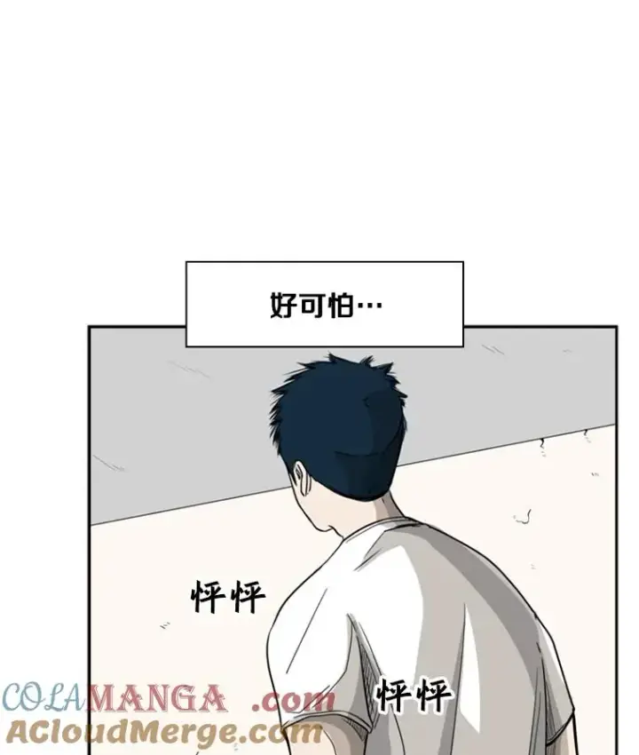 《鲨鱼》30.想保护的人图19