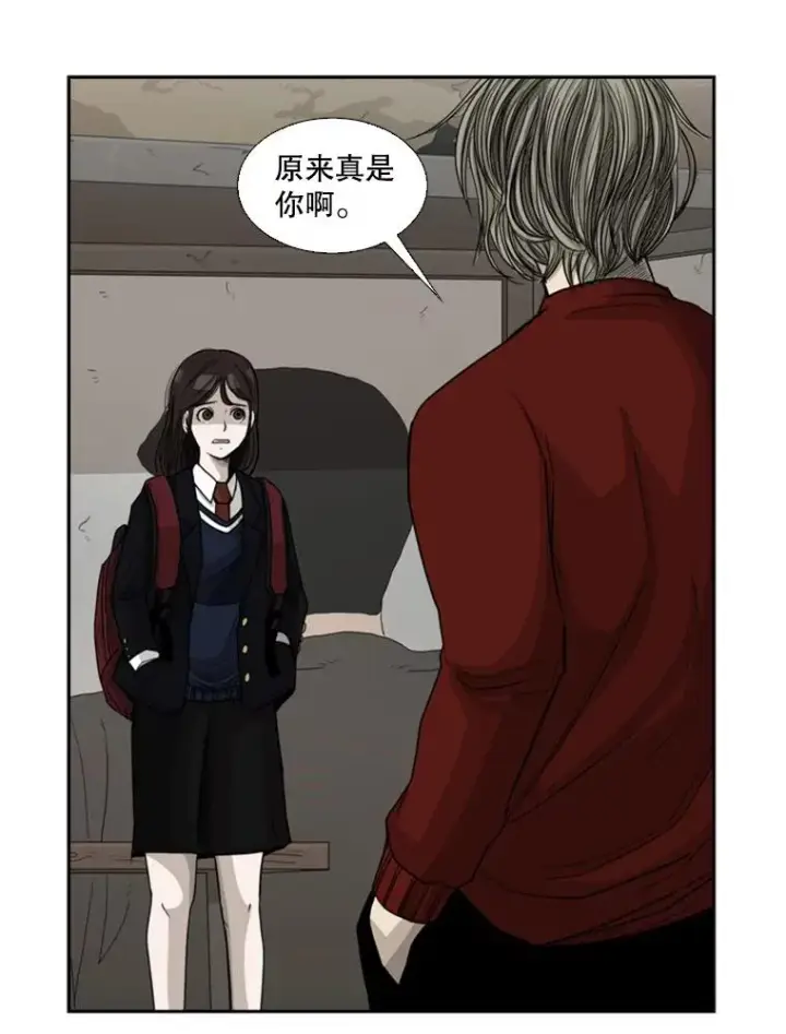 《鲨鱼》32.肉麻图6