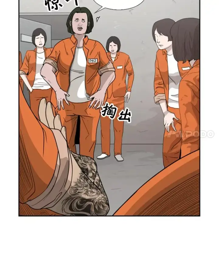 《鲨鱼》32.肉麻图74