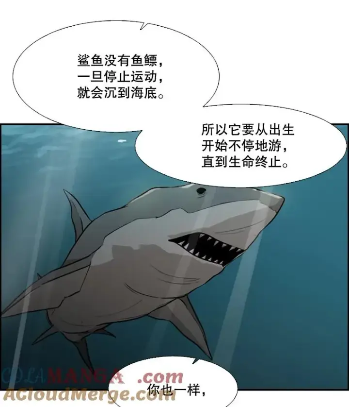《鲨鱼》33.离别图89