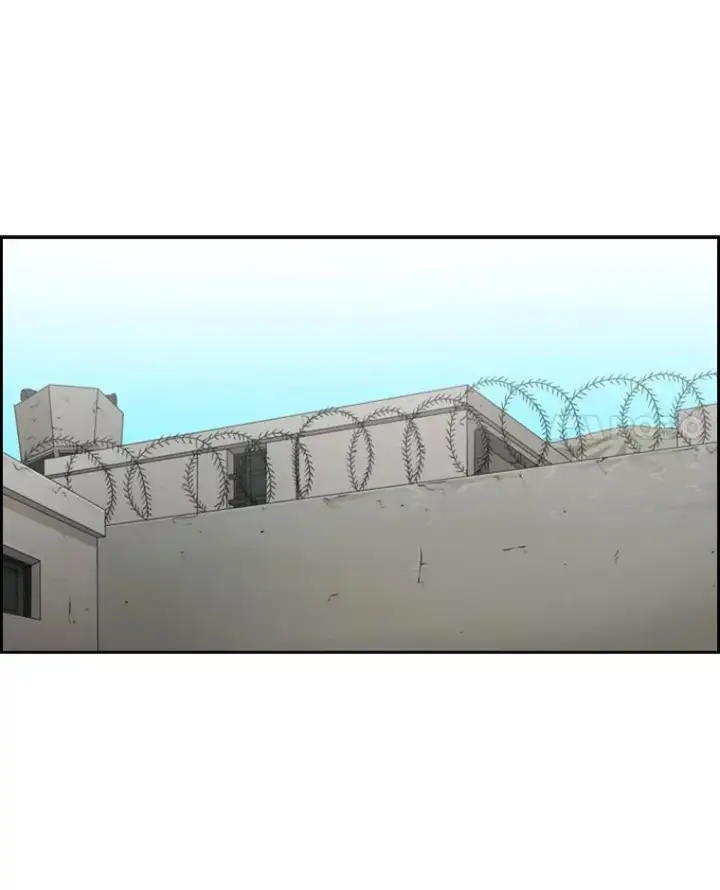 《鲨鱼》35.第一次实战图67