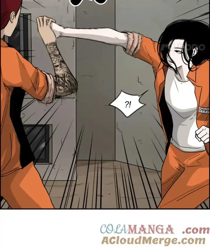 《鲨鱼》35.第一次实战图85