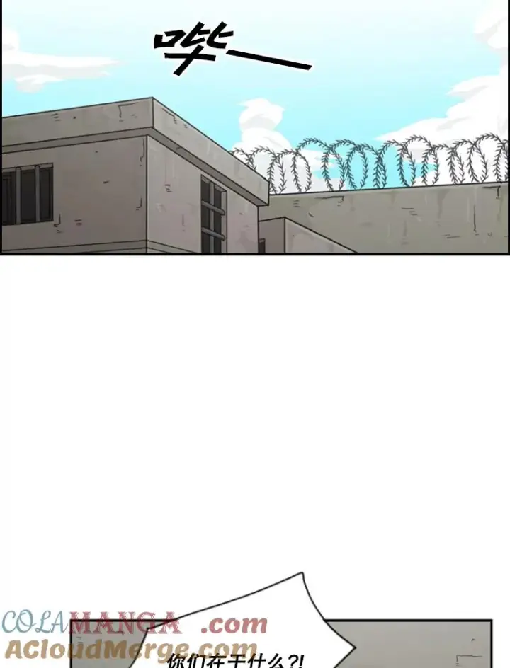 《鲨鱼》35.第一次实战图89