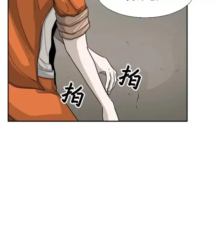 《鲨鱼》36.复仇之链图100