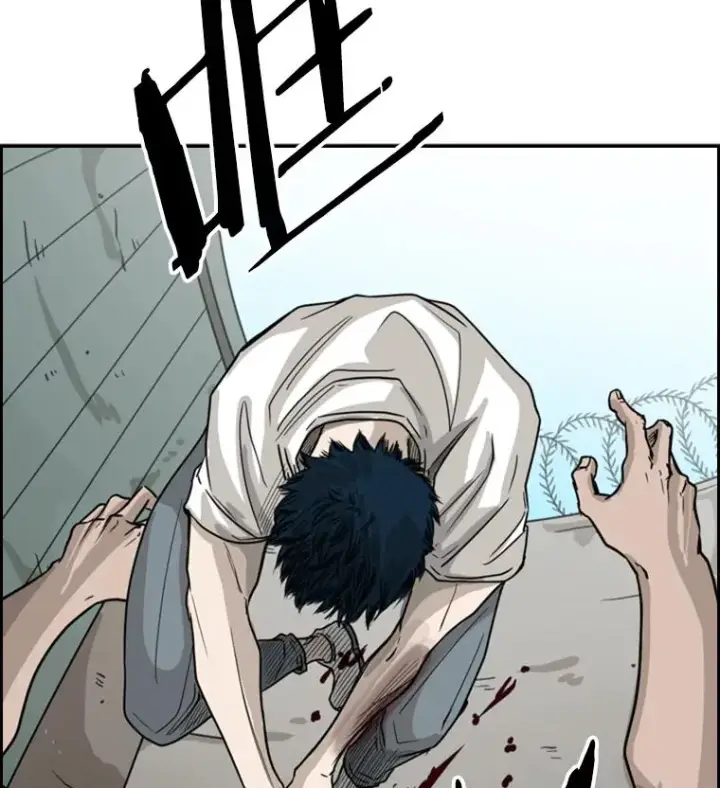 《鲨鱼》41.胜负心图139