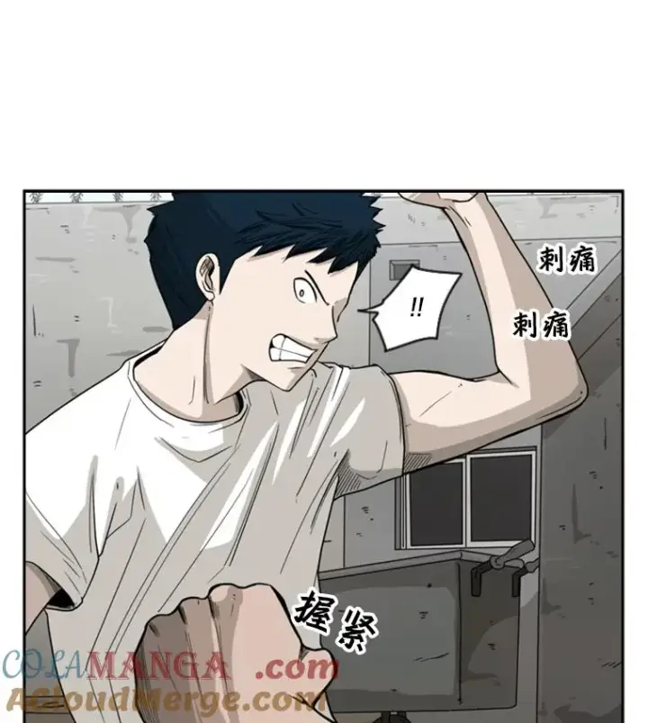 《鲨鱼》41.胜负心图33