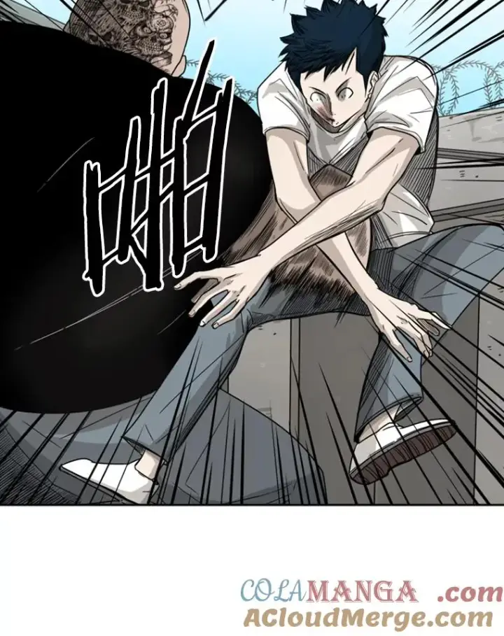 《鲨鱼》41.胜负心图45