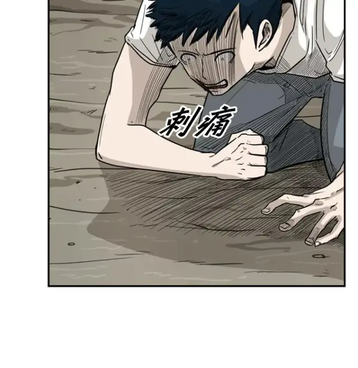 《鲨鱼》41.胜负心图52