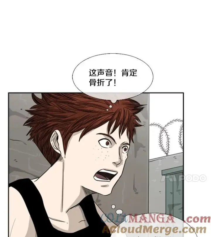 《鲨鱼》41.胜负心图85