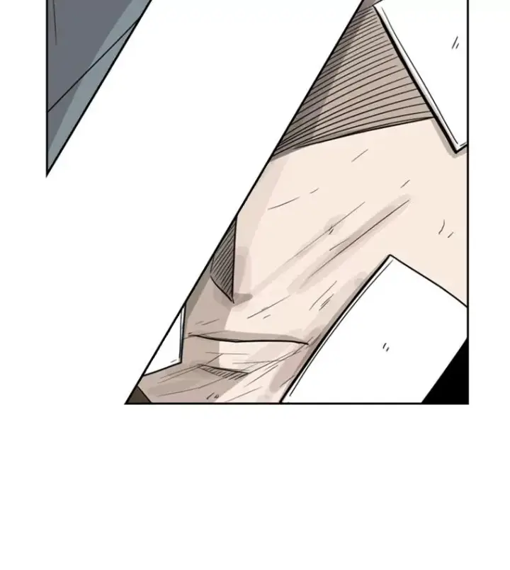 《鲨鱼》42.约战图115
