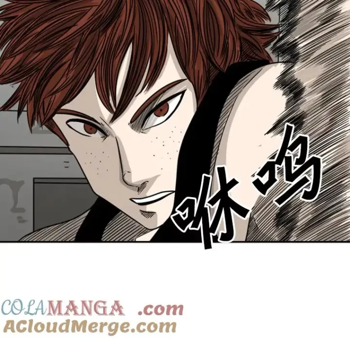 《鲨鱼》42.约战图41