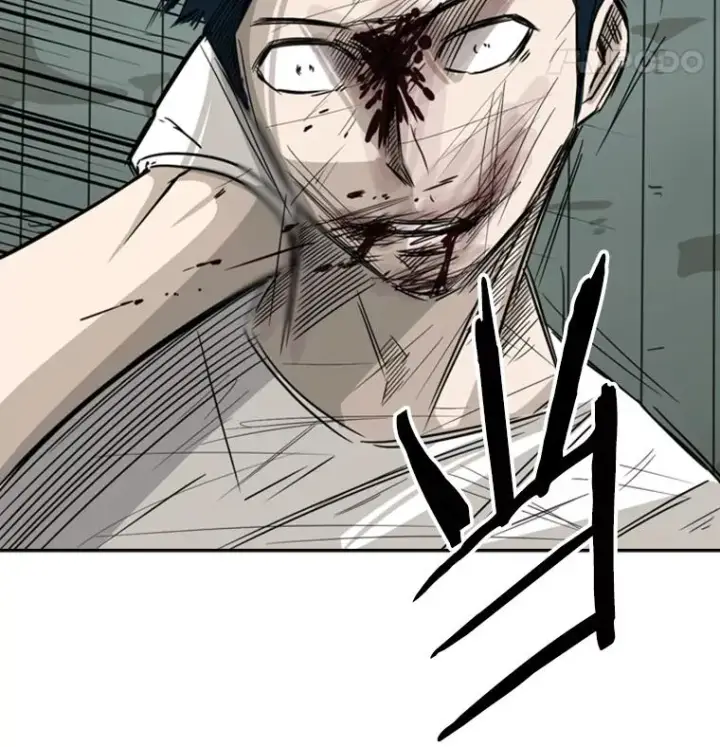 《鲨鱼》42.约战图43