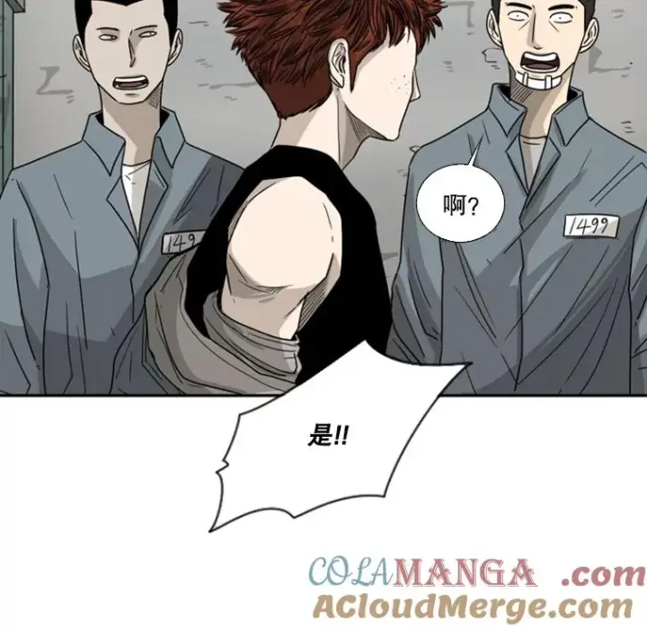 《鲨鱼》42.约战图57