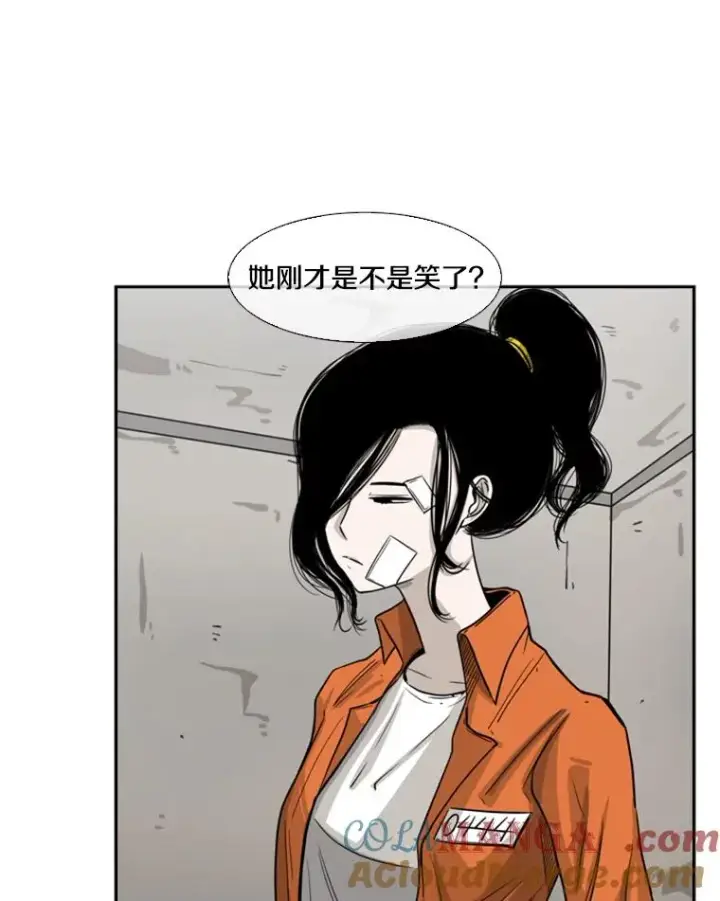 《鲨鱼》44.千载难逢的机会图13