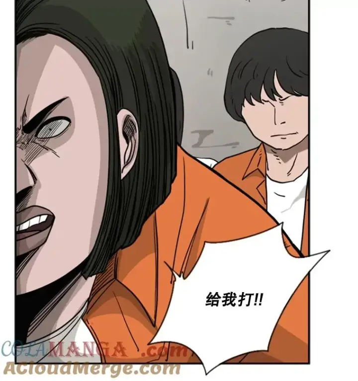 《鲨鱼》44.千载难逢的机会图69