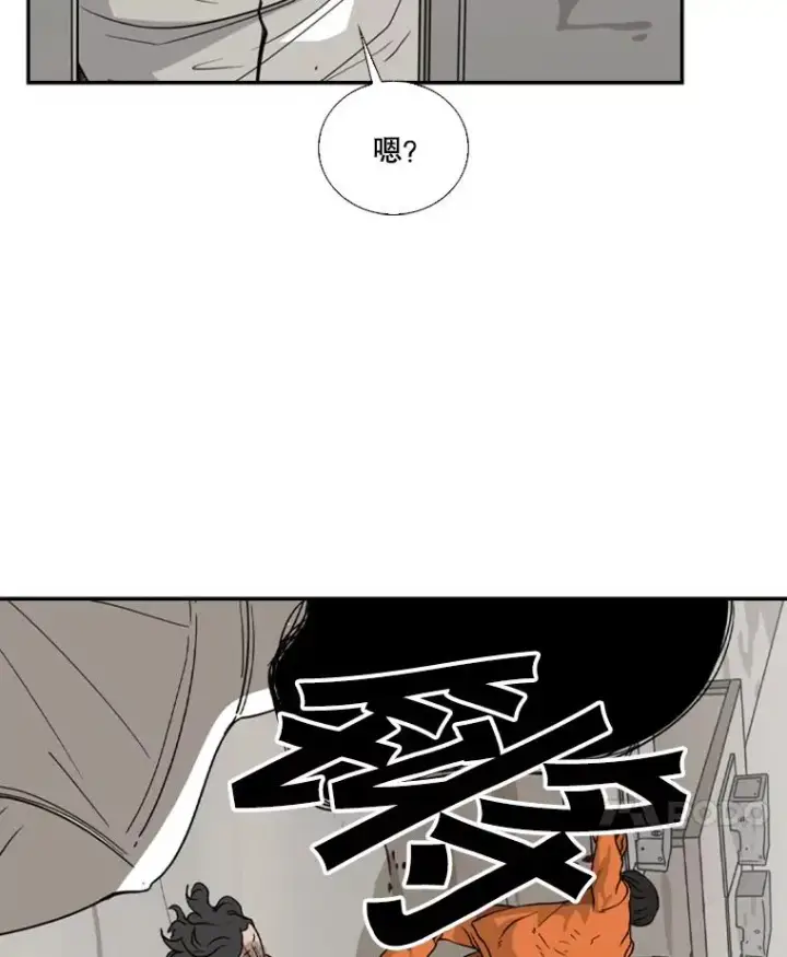 《鲨鱼》45.集体入院图84