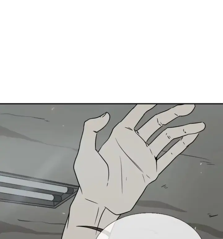 《鲨鱼》46.相似图103