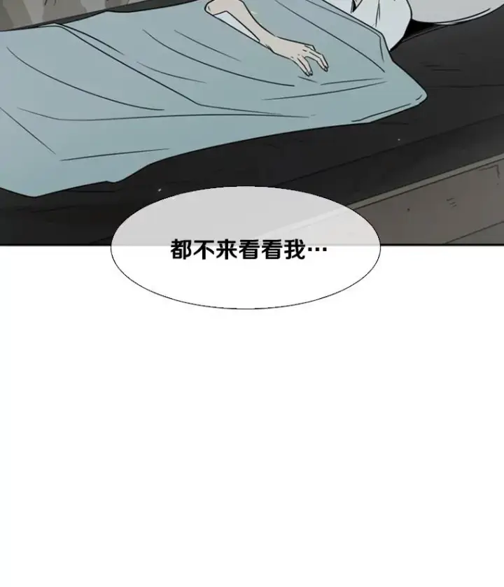 《鲨鱼》46.相似图107