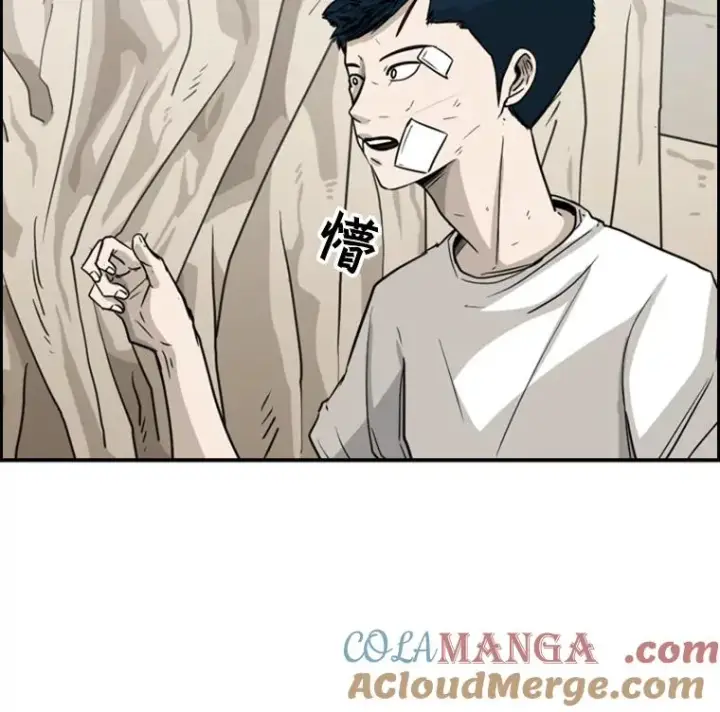 《鲨鱼》46.相似图13