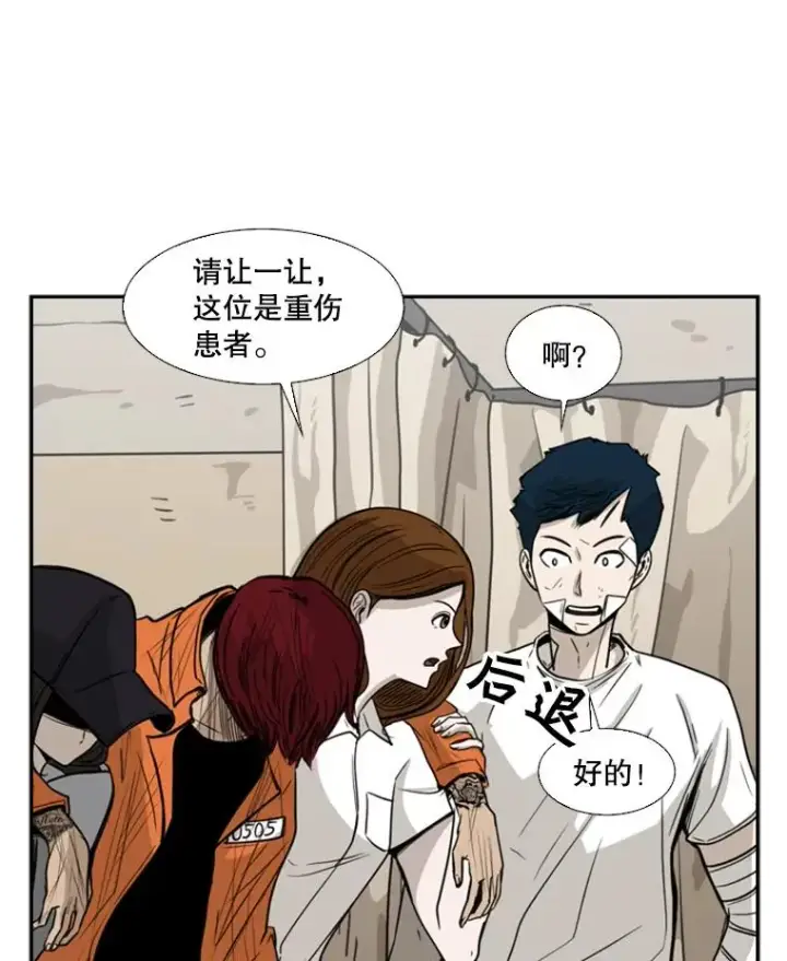 《鲨鱼》46.相似图14