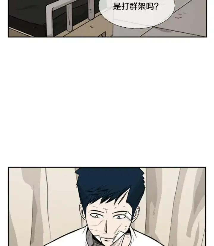《鲨鱼》46.相似图18