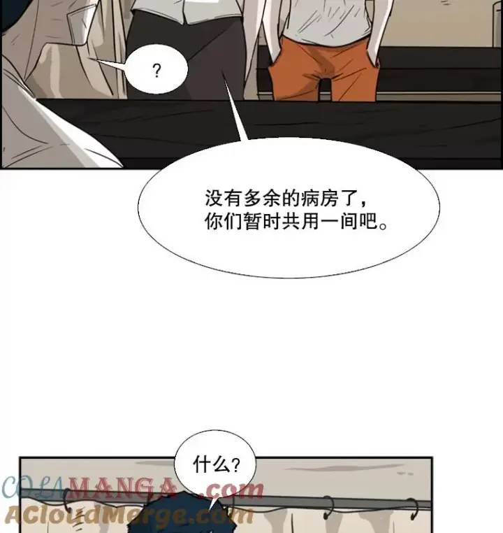 《鲨鱼》46.相似图21