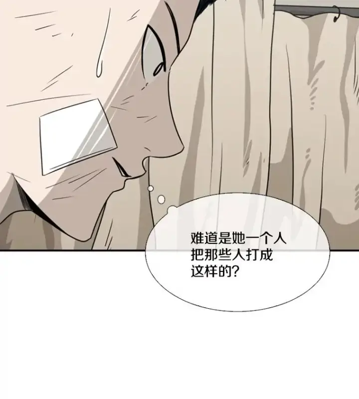 《鲨鱼》46.相似图38