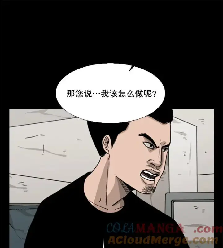 《鲨鱼》46.相似图49