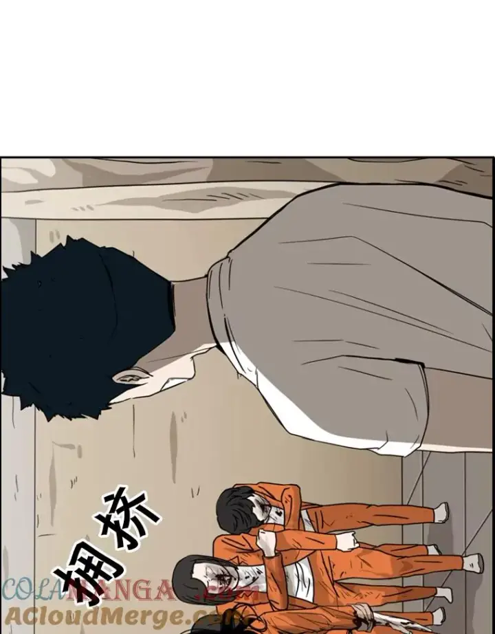 《鲨鱼》46.相似图5