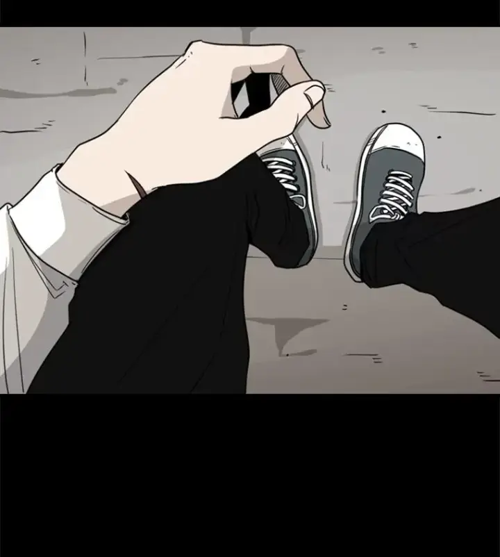 《鲨鱼》46.相似图52