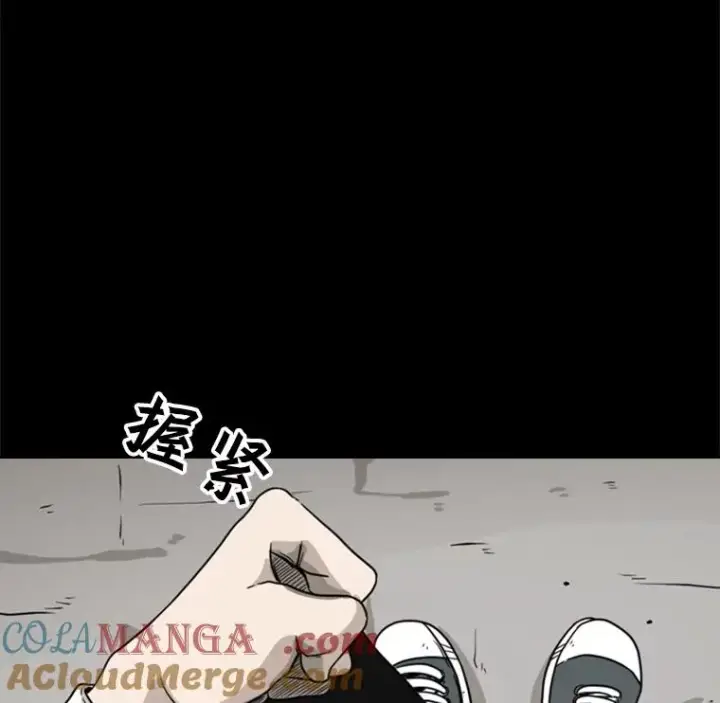 《鲨鱼》46.相似图57