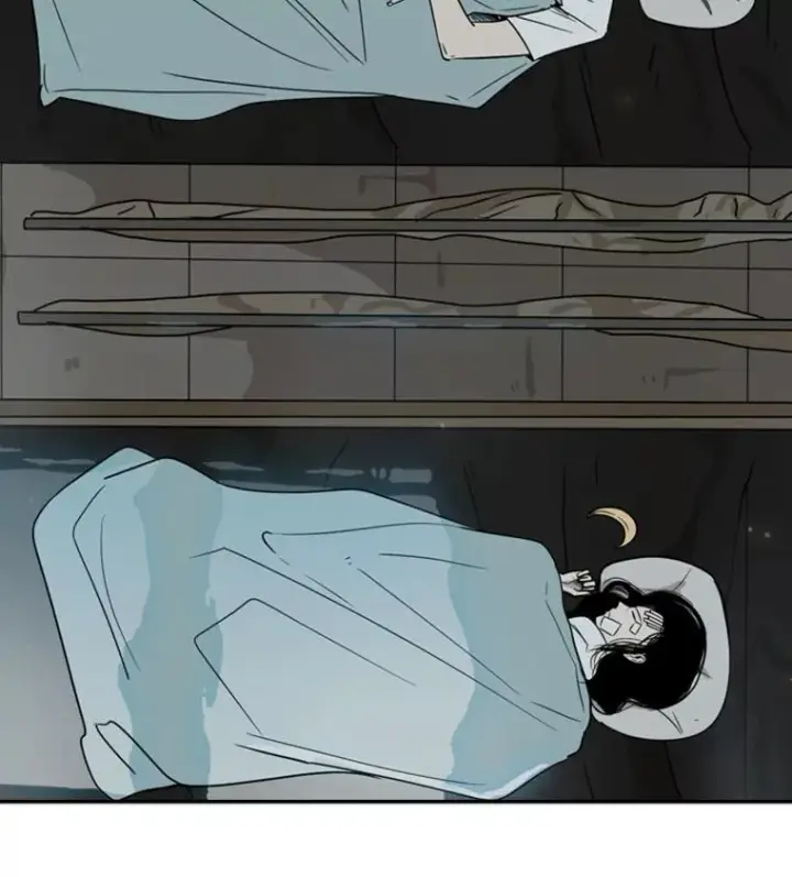 《鲨鱼》46.相似图86