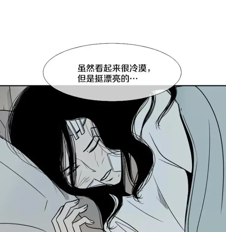 《鲨鱼》46.相似图90