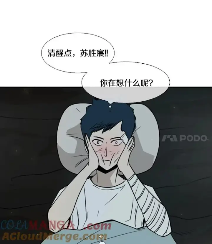《鲨鱼》46.相似图93