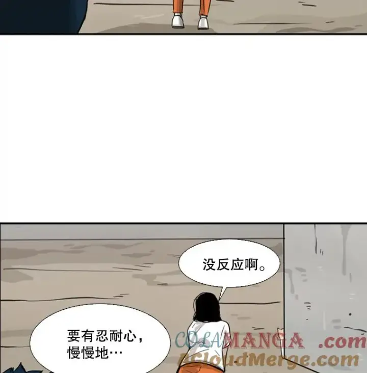 《鲨鱼》47.接近图101
