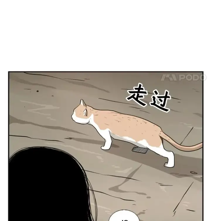 《鲨鱼》47.接近图83