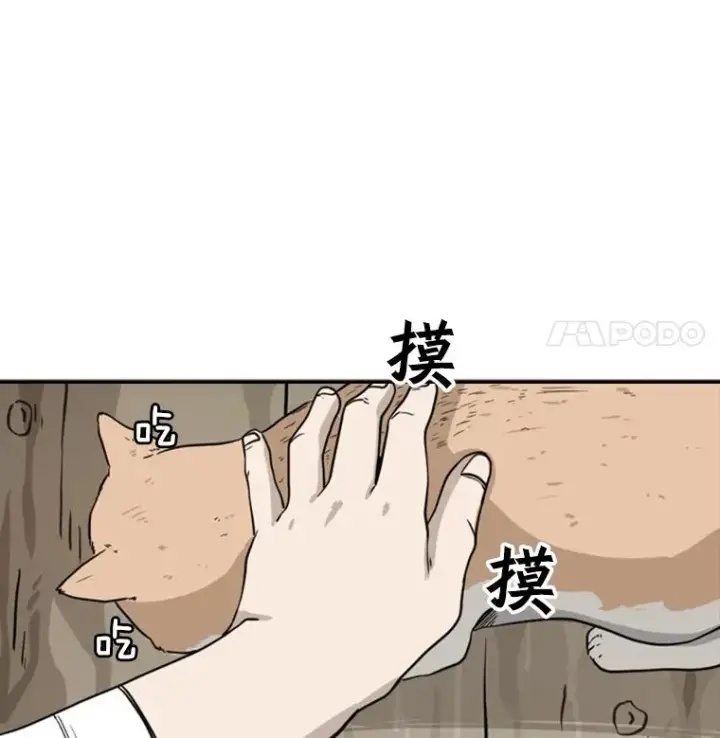 《鲨鱼》47.接近图87