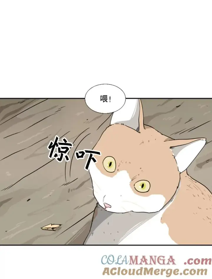 《鲨鱼》47.接近图89