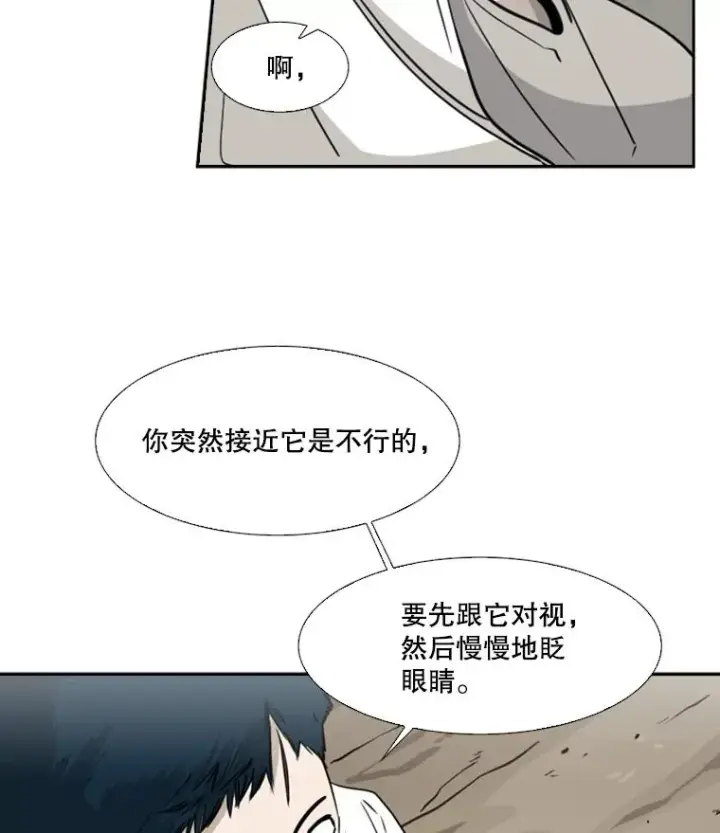 《鲨鱼》47.接近图95