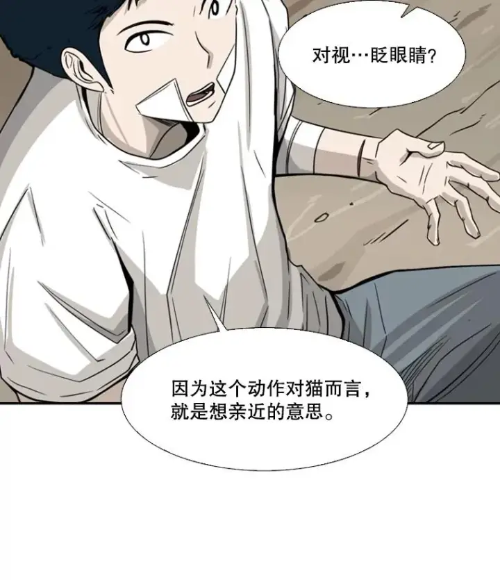 《鲨鱼》47.接近图96