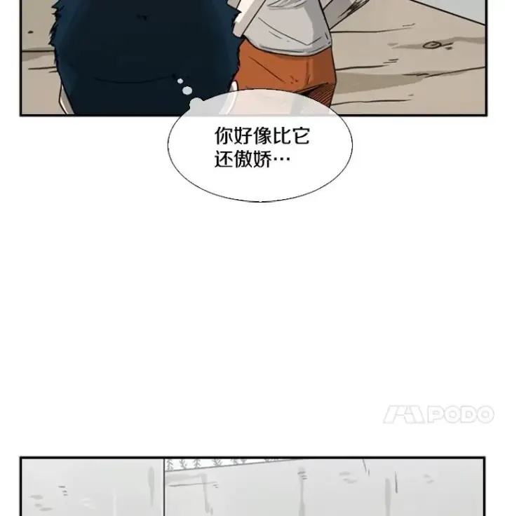 《鲨鱼》47.接近图98