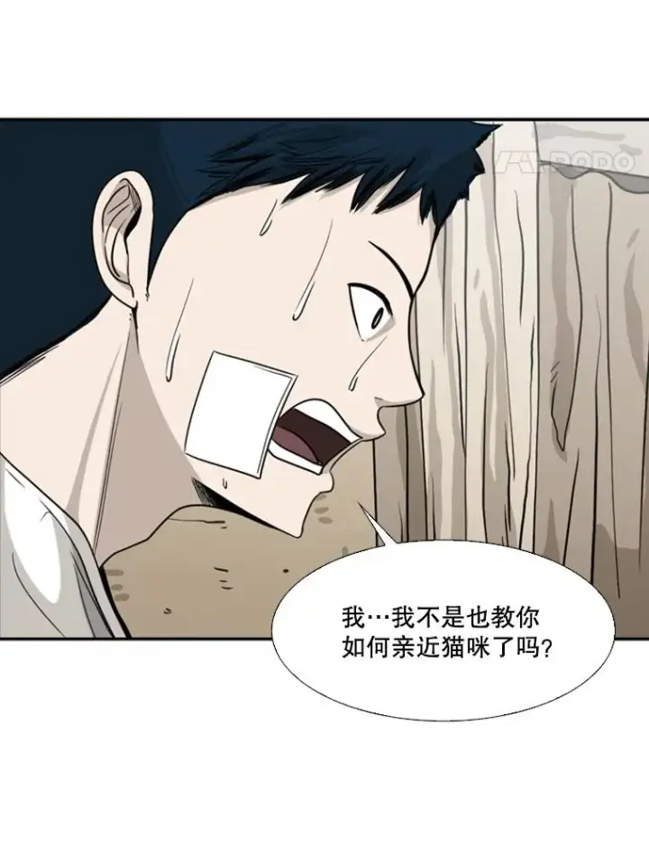《鲨鱼》48.示范图24