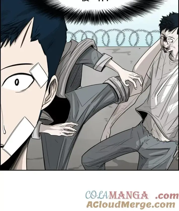 《鲨鱼》48.示范图41