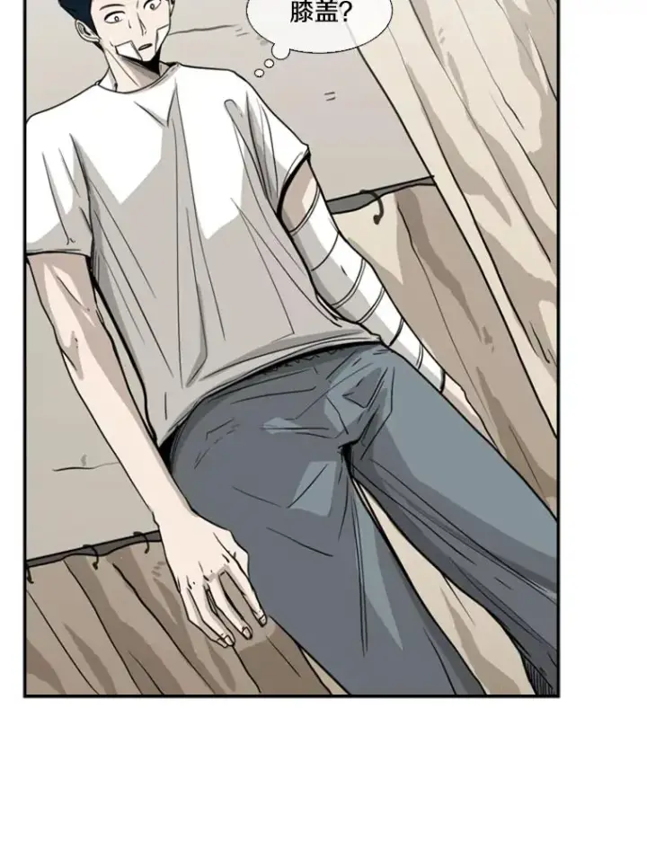《鲨鱼》48.示范图44