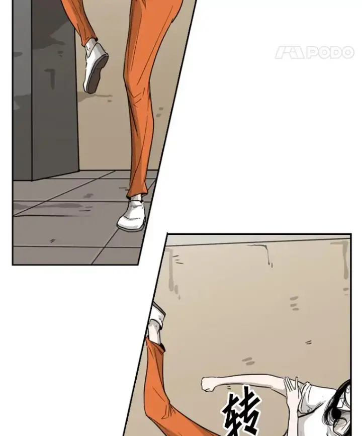 《鲨鱼》48.示范图56