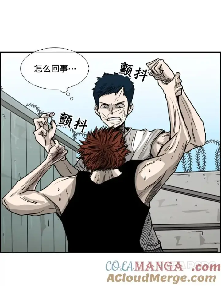 《鲨鱼》50.不相上下图53