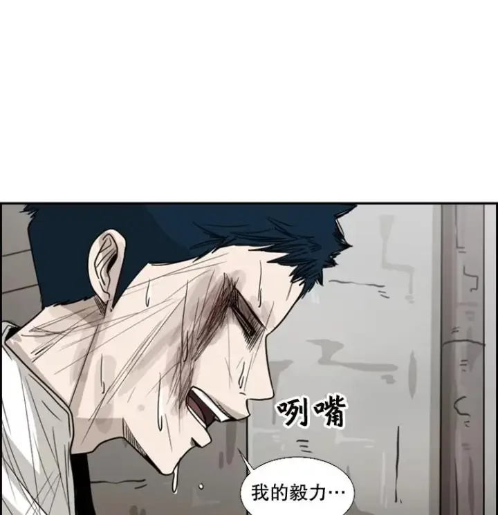 《鲨鱼》51.不死鸟图103