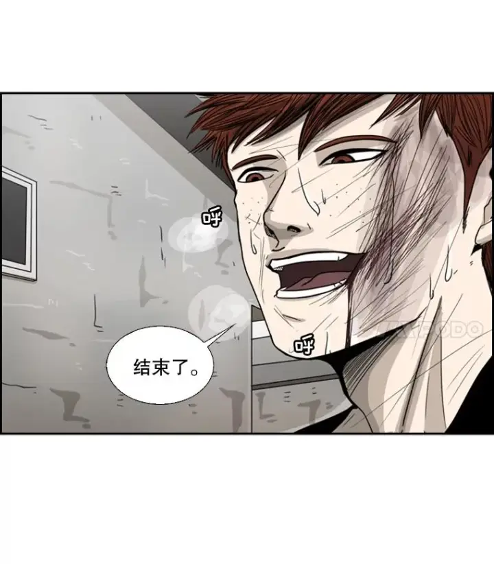 《鲨鱼》51.不死鸟图11